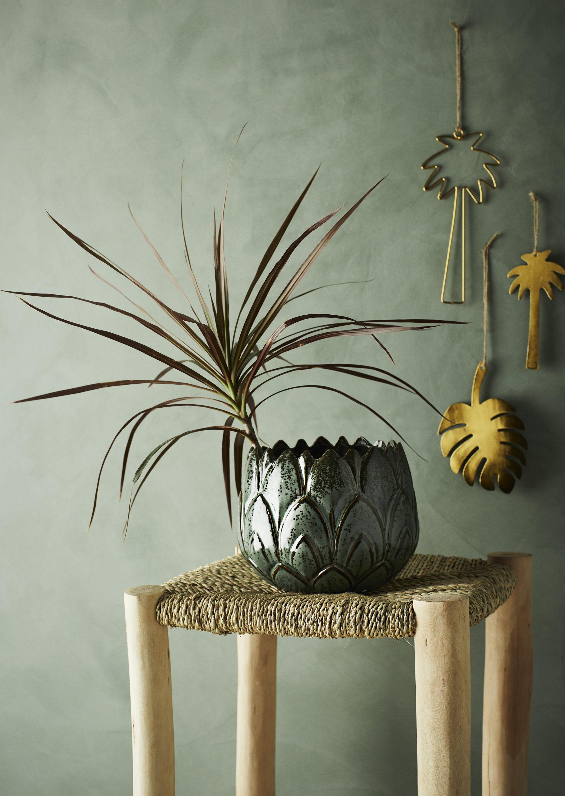 monstera_obesek4