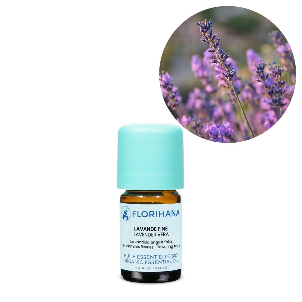 etericno_olje_prave_sivke_lavandula_angustifolia_florihana2 eterično olje sivke